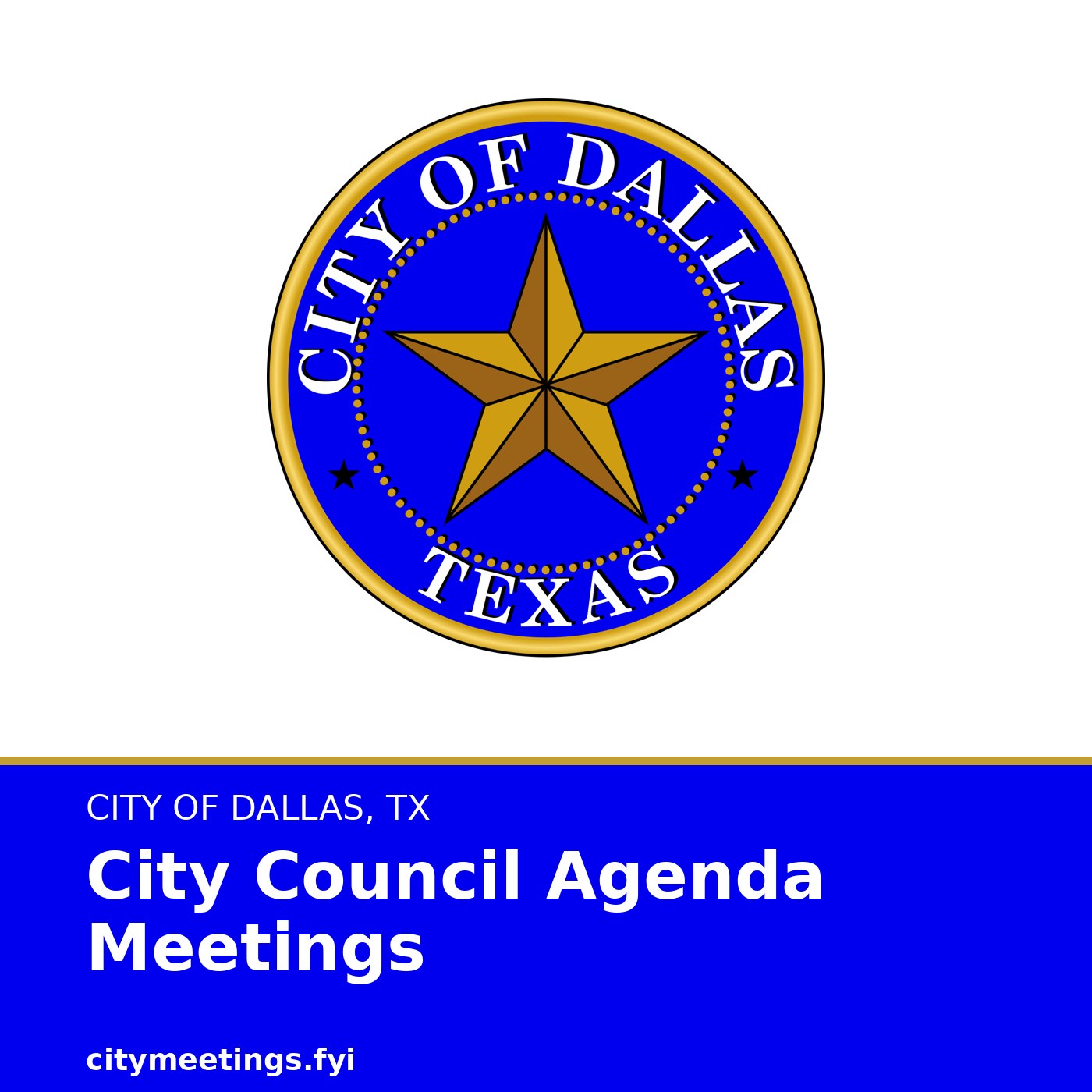 Dallas City Council Meetings cover