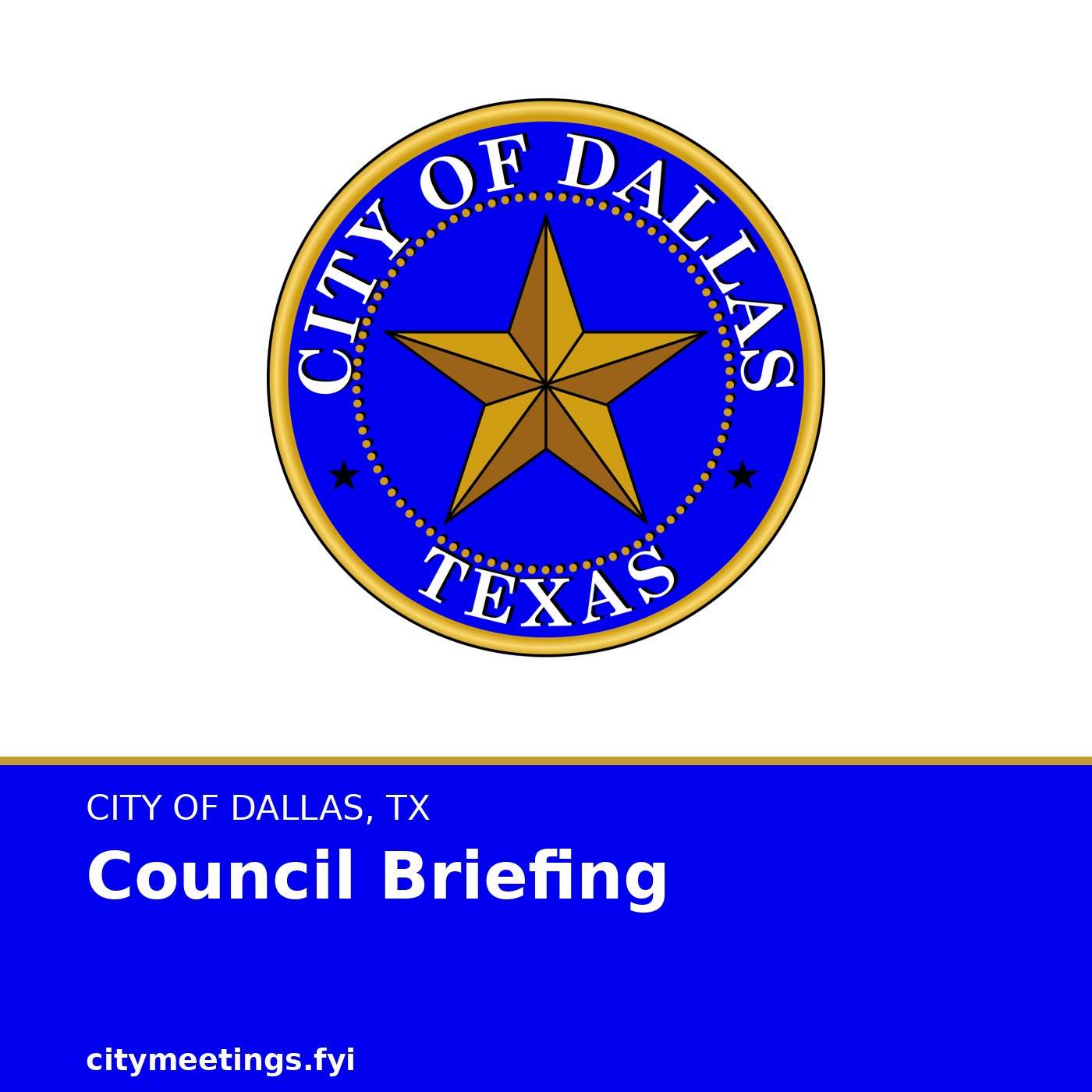 Dallas: Council Briefing cover