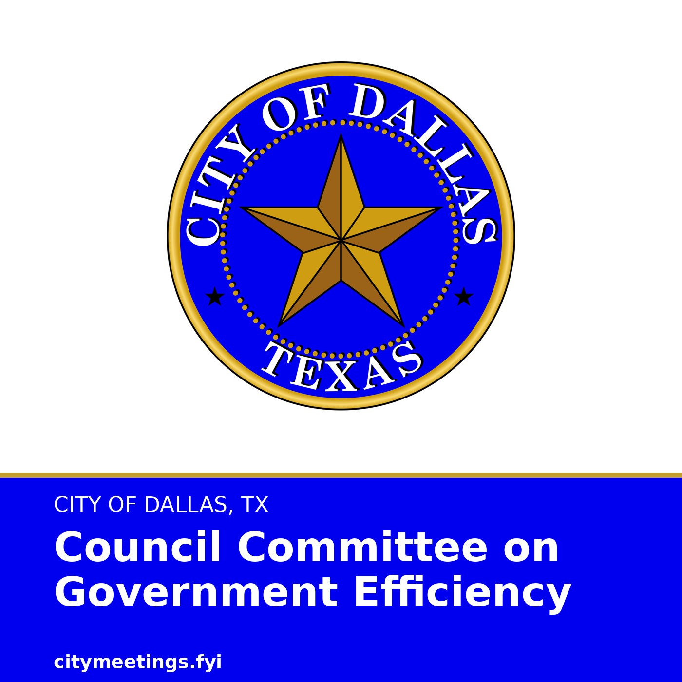 Dallas: Council Committee on Government Efficiency cover