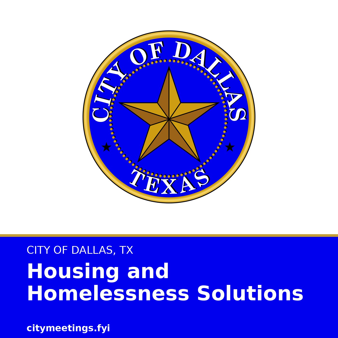 Dallas: Housing and Homelessness Solutions cover